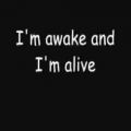 عکس Skillet - Awake and Alive (The Quickening) Lyrics [HQ]