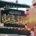 عکس تولد حضرت فاطمه (س)