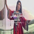 عکس آهنگ محفلی مست افغانی - آبشاری هراتی برای رقص و بازی - افغانی 2022