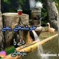 عکس به نام خدای کلام … سلام