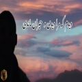 عکس توله بسیار غمگین / مرا ماندی و تنها رفتی / Tola Ghamgin / new 2022