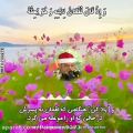 عکس سوره لقمان