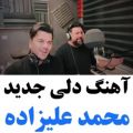 عکس آهنگ جدید دلی واحساسی / هیشکی دوست دارم واز ته قلبش نگفت