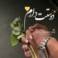 عکس کلیپ عاشقانه برای عشقم _ کلیپ دوستت دارم _ کلیپ زیبای دوست داشتن _ کلیپ عاشقانه