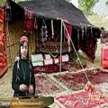 عکس ترانه ی محلی فارس دختر بویر احمدی سنتور نوازی رومینا تسلیمی