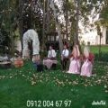عکس اجرای آهنگهای شاد با دف وسنتور لاکچری در مجالس عروسی ۰۹۱۲۰۰۴۶۷۹۷