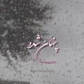 عکس کلیپ موزیک / هوای دل ببین بارانی شده / رضا بهرام