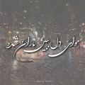 عکس هوای دل ببین بارانی شده / آهنگ رضا بهرام