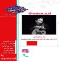 عکس نوا سلیمانی - مدرس و نوازنده عود - موسسه فرهنگی هنری اصفهان