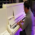 عکس وحید کریمپور - گالری پیانو باربد