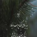 عکس دلنوشته دل شکسته ها/مخصوص استوری/احساسی