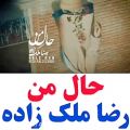 عکس اهنگ رضاملک زاده