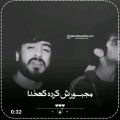 عکس صدای زیبای خواننده لری، سعید حسینی