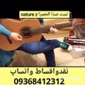 عکس تست صدا و فروش ویژه گیتار الحمبرا z nature