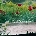 عکس آهنگ بهانه /ایهام بند