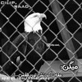 عکس کلیپ عقاب توی قفس