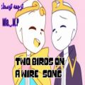 عکس Two birds on a wire || دو پرنده روی سیم || ترجمه آهنگ || کپشن مهم