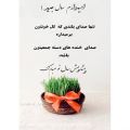 عکس کلیپ و آهنگ عید نوروز _امیدوارم سال جدید...