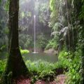 عکس صدای باران، آبشار، پرنده، مدیتیشن، آرامش، ۴۳۲ هرتز