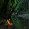عکس صدای آتش و طبیعت، مدیتیشن آرامش، انرژی، ۴۳۲ هرتز