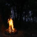 عکس صدای آتش در طبیعت، مدیتیشن، آرامش، انرژی، ۴۳۲ هرتز