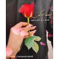 عکس کلیپ عیدت مبارک_بهار اومد و باید گل بخرم واسه یارم...