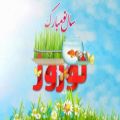 عکس زیباترین کلیپ تبریک سال نو _کلیپ عید نوروز 1401 _ تبریک عید نوروز 1401