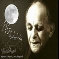 عکس آواز شب مهتاب،نوازنده تار امیر احدی،،آواز مجید#پیری#