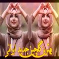 عکس آهنگ های شاد ایرانی و عربی | گلچین شاد ارکستی