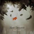 عکس Slow Descent