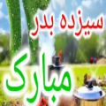 عکس آهنگ سیزده بدر - کلیپ سیزده بدر - سیزده بدرتون مبارک