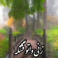 عکس آهنگ جدید لری زنی واتو قشنگه امیرحسین علیزاده