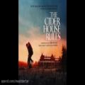 عکس موسیقی زیبای فیلم The Cider House Rules از ریچل پورتمن