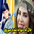 عکس فلوت جدید منصور حسینی آهنگ حال که دیوانه شدم میروی