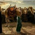 عکس کلیپ زیارتی امام حسین _ کلیپ غمگین برای استوری _ کلیپ استوری مذهبی