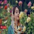 عکس آهنگ افغانی عاشقانه ای گل بهارم ، عشق ماندگارم ، عاشقانه احساسی