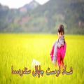 عکس آهنگ افغانی جدید - شاد او مست جاپانی سندره...!