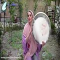 عکس دف نوازی آهنگ الله هو مدد از تنبور مهرداد ملکی - موسیقی سنتی و اصیل ایرانی