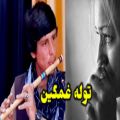 عکس آهنگ افغانی جدید _ غمگین ترین توله منصور حسینی اما کدام آهنگ؟