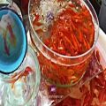 عکس ویدیو خام ماهی قرمز‌ | دانلود فوتیج خام ایرانی
