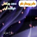 عکس مداح بهشت زهرا 09125033474