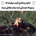 عکس عاشقانه