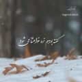 عکس آهنگ عاشقانه حمید هیراد