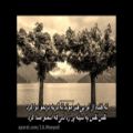 عکس آهنگ جدید و زیبای قرار عاشقی از راغب /// Ragheb - Gharare Asheghi