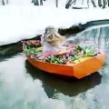 عکس یه فیلم قشنگ از برف