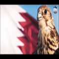 عکس تیزر جام جهانی 2022 قطر