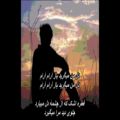 عکس همایون شجریان - دل من میگرید /// Homayoun Shajarian - Dele Man Migeryad