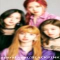 عکس BLACK PINK