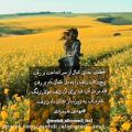 عکس لحظه ی جدایی / عاشقانه / رباعی / مهدی علیمرادی / شعرناب