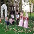 عکس اجرای دف وسنتور وتنبک وخوانندگی ۰۹۱۲۰۰۴۶۷۹۷ عروسی مذهبی